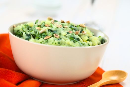 Mashed potatoes with fresh herbs and roasted sunflower seeds in white bowl (Selective Focus, Focus one third into the mashed potato)