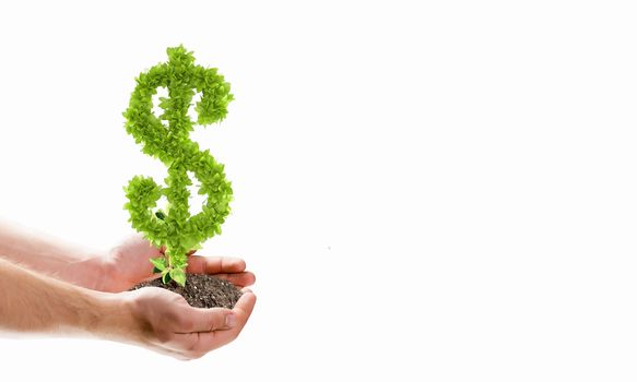 Image of human hands holding plant shaped like dollar