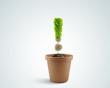 Image of pot plant shaped like exclamation sign