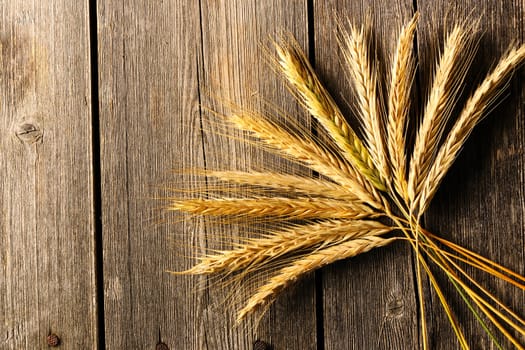 Rye spikelets on wooden background