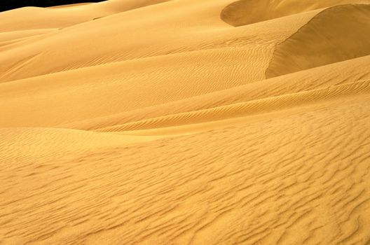 View of a sand dune in Macuira National Park in La Guajira, Colombia