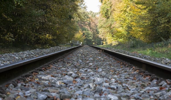 railroad track in autumn forest