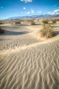 Death valley, desert natural sand dunes near devils korn field