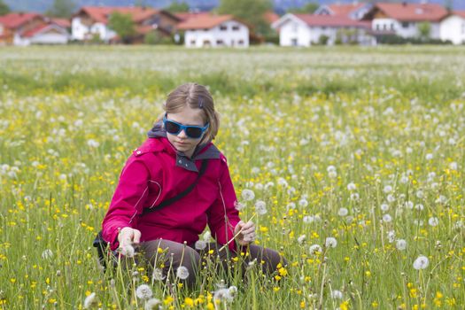 young girl on the meadow with dandelions 