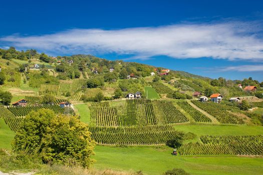 Idyllic green hill vineyards and cottages area, Kalnik mountain, Croatia