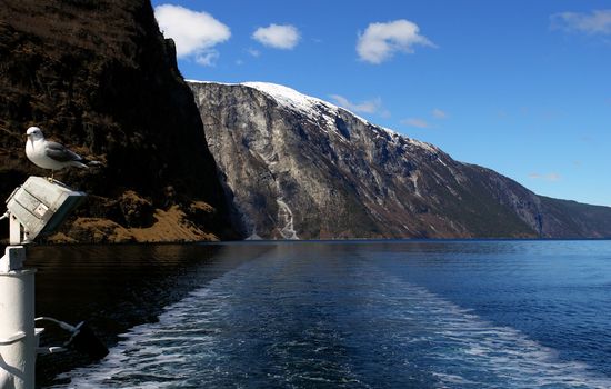 Gudvangen fjord landscape, mountain in the backgroung and boat trail,  Norway                           