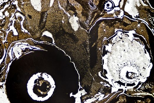 Microscopic soot particles