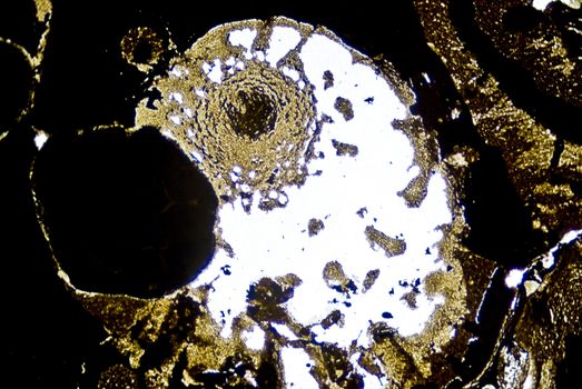 Microscopic soot particles