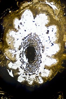 Microscopic soot particles
