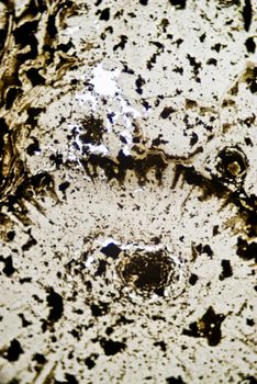 Microscopic soot particles