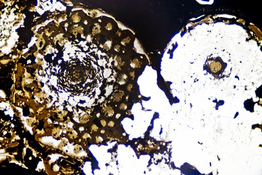 Microscopic soot particles
