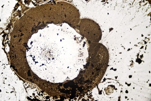 Microscopic soot particles