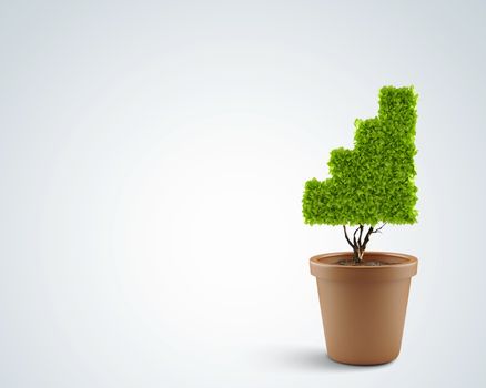 Plant in pot shaped like graph. Wealth concept