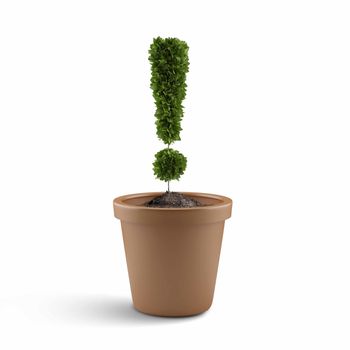 Image of pot plant shaped like exclamation sign