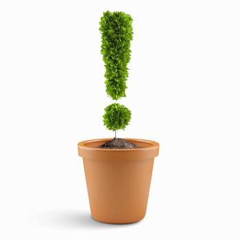 Image of pot plant shaped like exclamation sign