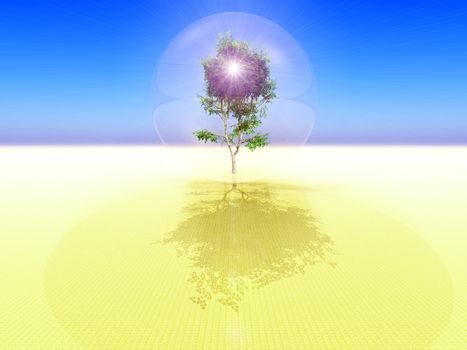 an isolated bubble with a tree inside