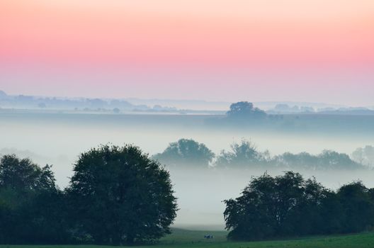 misty landscape at dawn