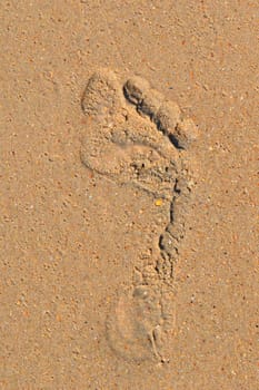 Trace of a bare foot of the person on sand.