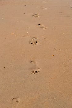 Trace of a bare foot of the person on sand.