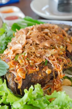 fried fish served with fresh vegetable and spicy sauce on top 