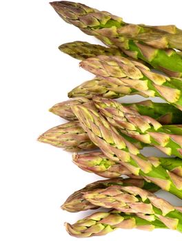 Frame of Fresh Raw Asparagus Sprouts isolated on white background