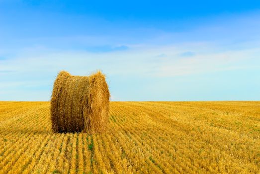 isolated straw bale