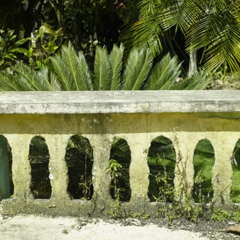 Old yellow railing with plants in the background.