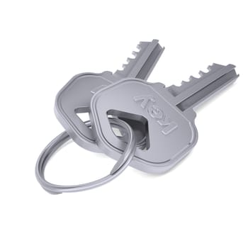 Metal keys. Isolated render on a white background