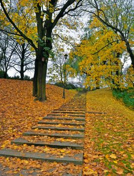 Park view with stairs in autumn