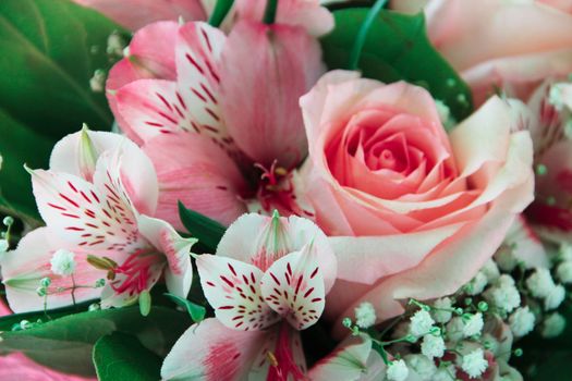 Bunch of different flowers close up background