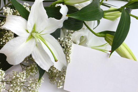 White lily flowers and post card over white background