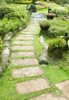 Sidewalks, parks, green garden outdoor leisure related