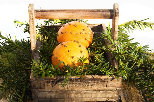 Two oranges with cloves in a basket with pine branches