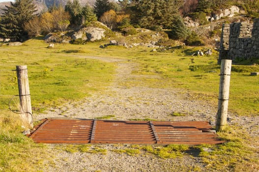 A cattle guard on a meadow