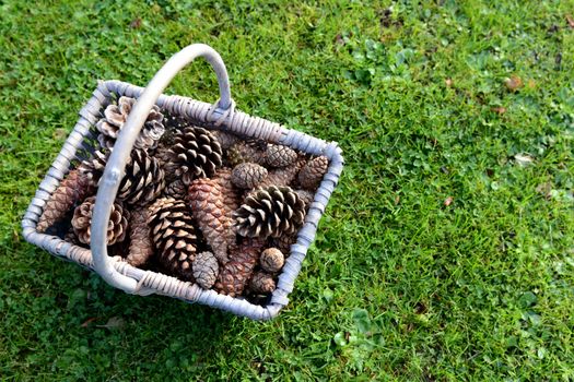 Rustic basket full of pine cones on green grass with copy space