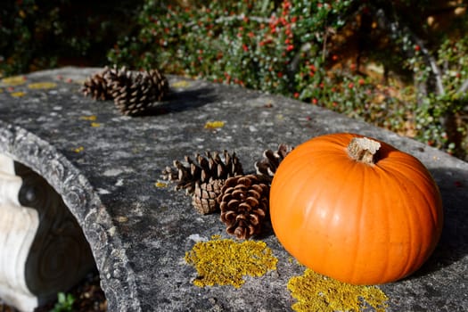 Small ripe pumpkin and fir cones on a stone bench with selective focus