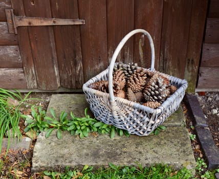 Basket of pine cones on a rustic stone doorstep