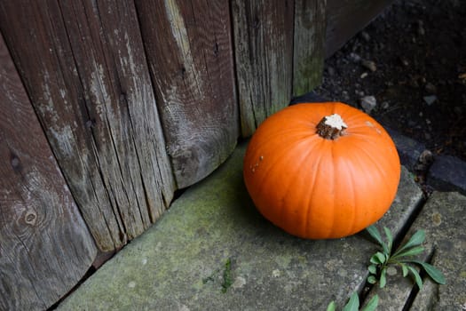 Ripe pumpkin on a stone step by a weathered wooden door