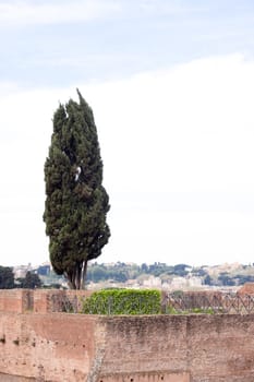 Old roman ruins in Roma
