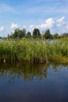 Green grass and its reflection in the lake
