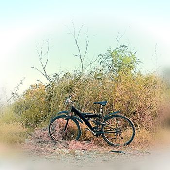 Mountain bike parking in the field