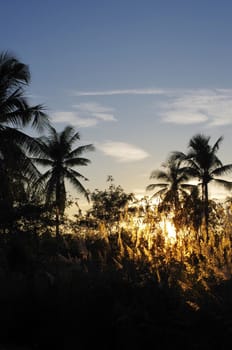 Tropical sunset in countryside of Thailand