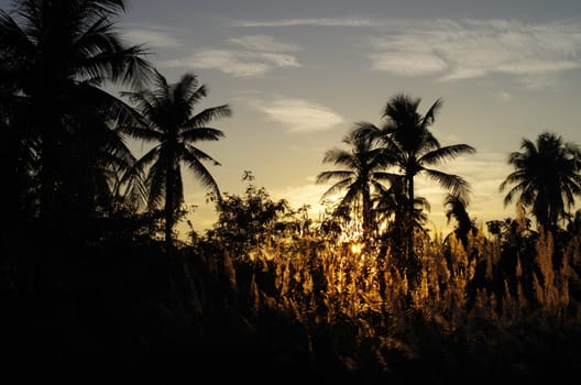 Tropical sunset in countryside of Thailand