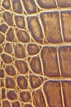 Brown textured leather background pattern leather zebra