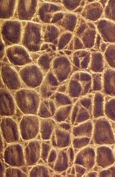 Brown textured leather background pattern leather zebra