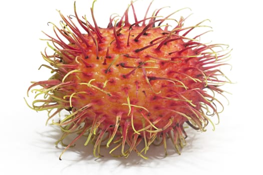 Rambutan is a fruit with sweet red shell