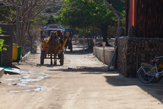 GILI, INDONESIA - SEP 21: Horses ride a carriages on small dirt road Sep 21, 2012 in Gili Trawangan island, Indonesia. There are only horse and bicycle transportation on the island.