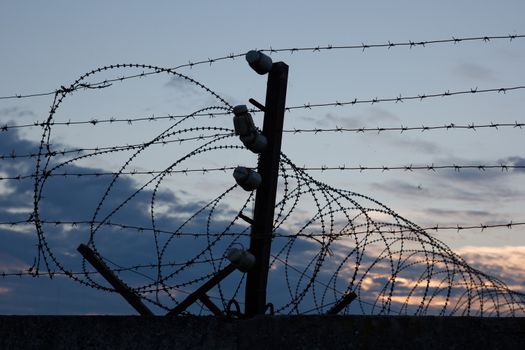 the barbed wire fence at sunset