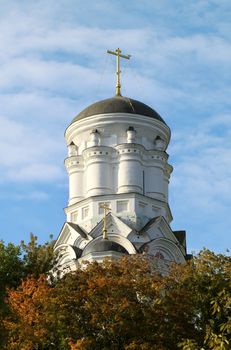 The Orthodox Christian Church