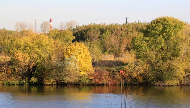 Yellow autumn leaves on the trees on the river bank